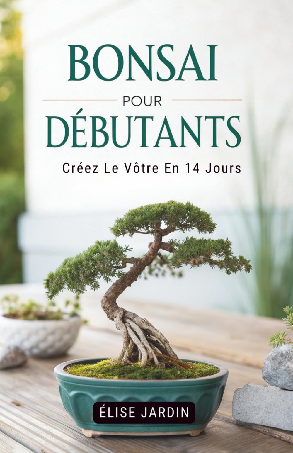 Bonsai Pour Débutants: Créez Le Vôtre En 14 Jours