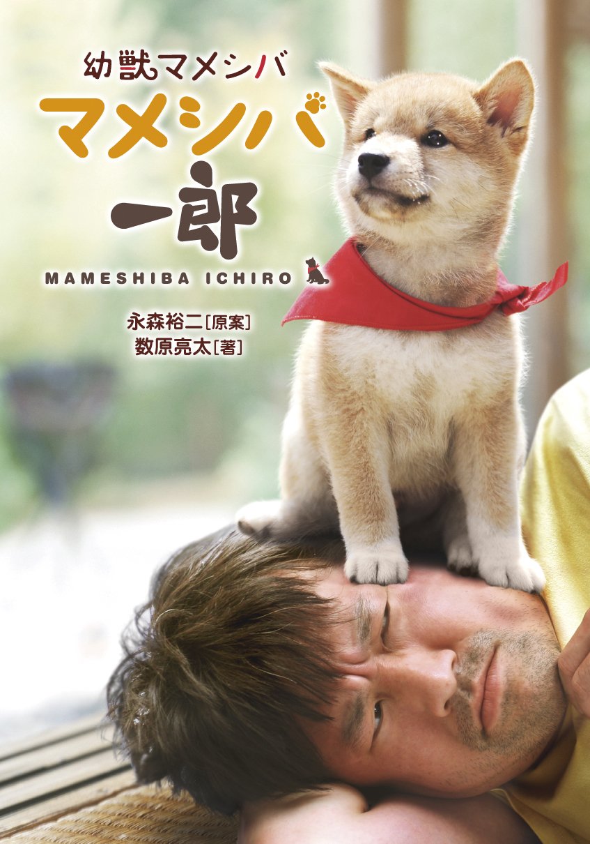幼獣マメシバ マメシバ一郎 竹書房文庫 数原 亮太 裕二 永森 本 通販 Amazon