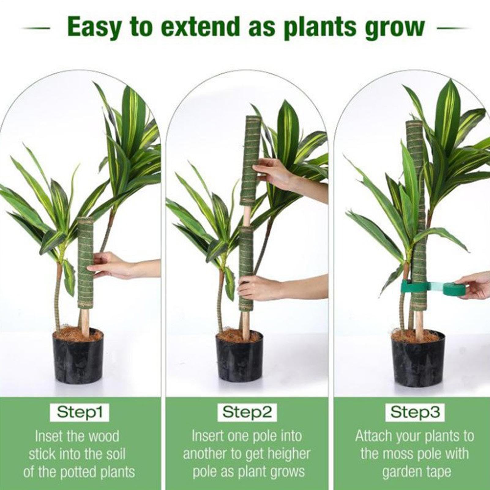 Tuteur pour Monstera Outil de jardinage réutilisable à absorption d'eau | Tuteurs de Support pour s Adapté à l'Intérieur et l'Extérieur Pothos Philodendron Pot Jardinière Balcon Terrasse Jardin