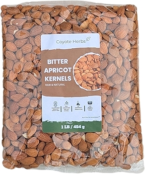 苦杏仁原料种子 - 富含天然维生素B17