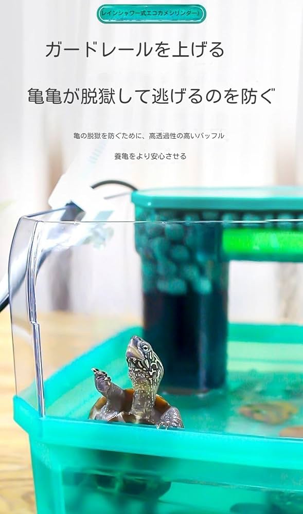 Amazon | Zehaiwl 亀水槽プラスチック,爬虫類繁殖ボックス,カメ
