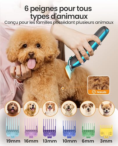 oneisall Tosatrice per cani professionale 2 in 1, Rasoio per cani e gatti per pelo lungo, Macchinetta per cani per testa, zampe, occhi, orecchie, viso - 6