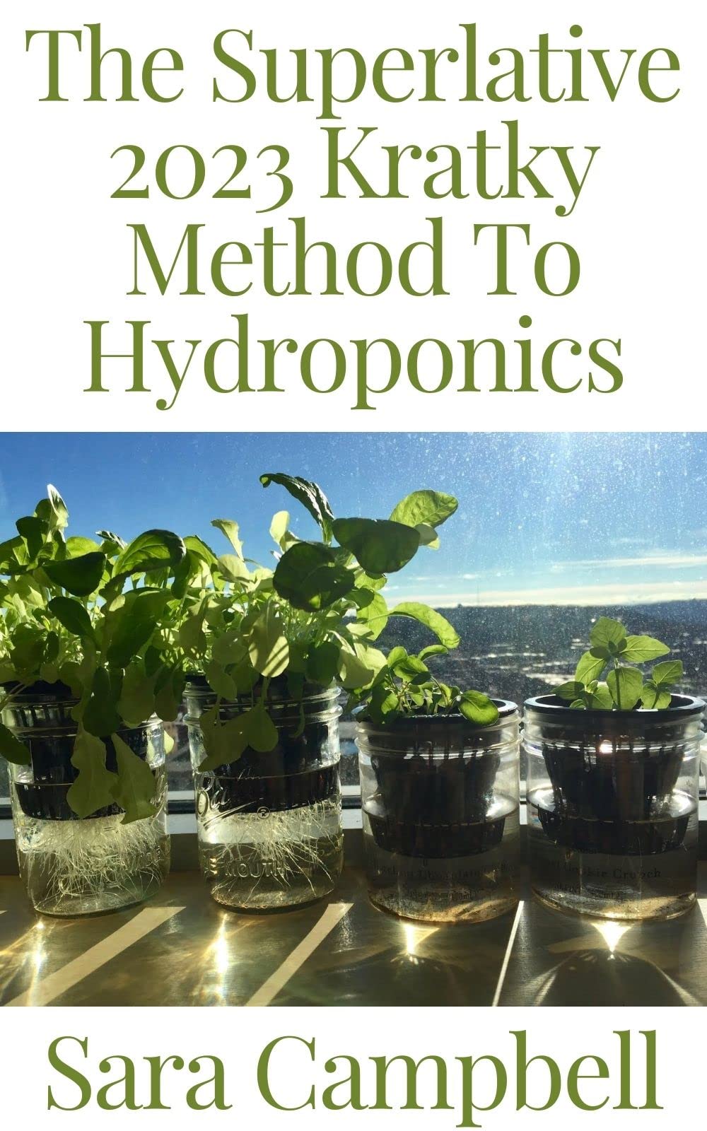 Buy The Superlative 2023 Kratky Method To Hydroponics How To Build A Cheap Hydroponic System