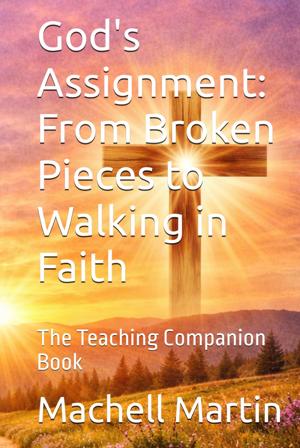 God's Assignment: From Broken Pieces to Walking in Faith: The Teaching Companion Book