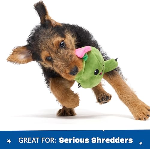 Miniatura 5 de Juguetes que hacen ruido para perros Barkbox  Juguetes interactivos 2 en 1 para masticadores  Juguetes de peluche y bolas para perros