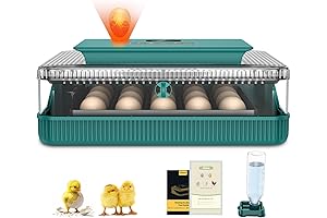 25 Egg Incubator for Hatching Eggs: Optimal Chick Brooding Solutions