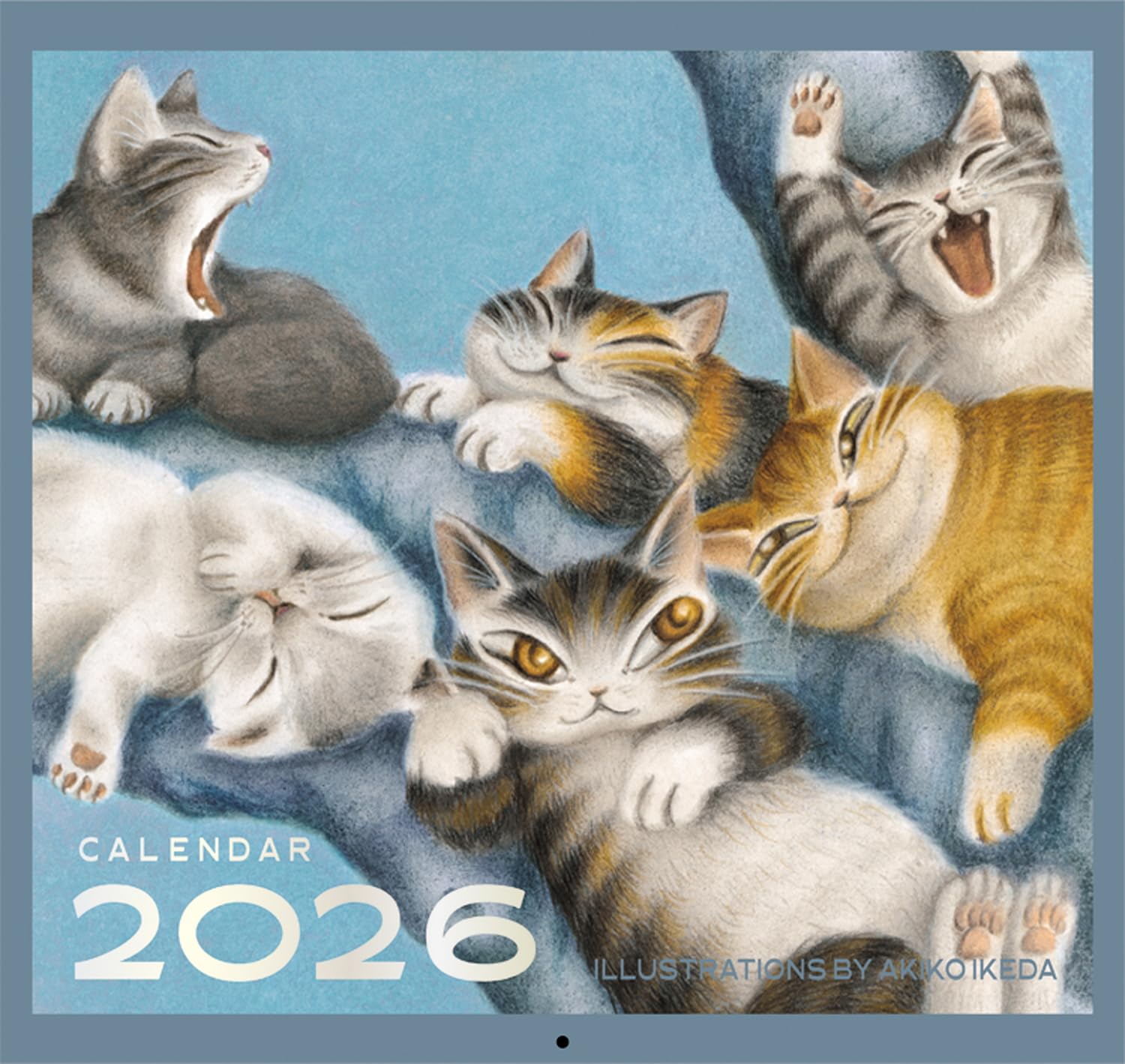 Amazon | ダヤン 2026年 カレンダー 壁掛け 942099 (2025年 12月始まり
