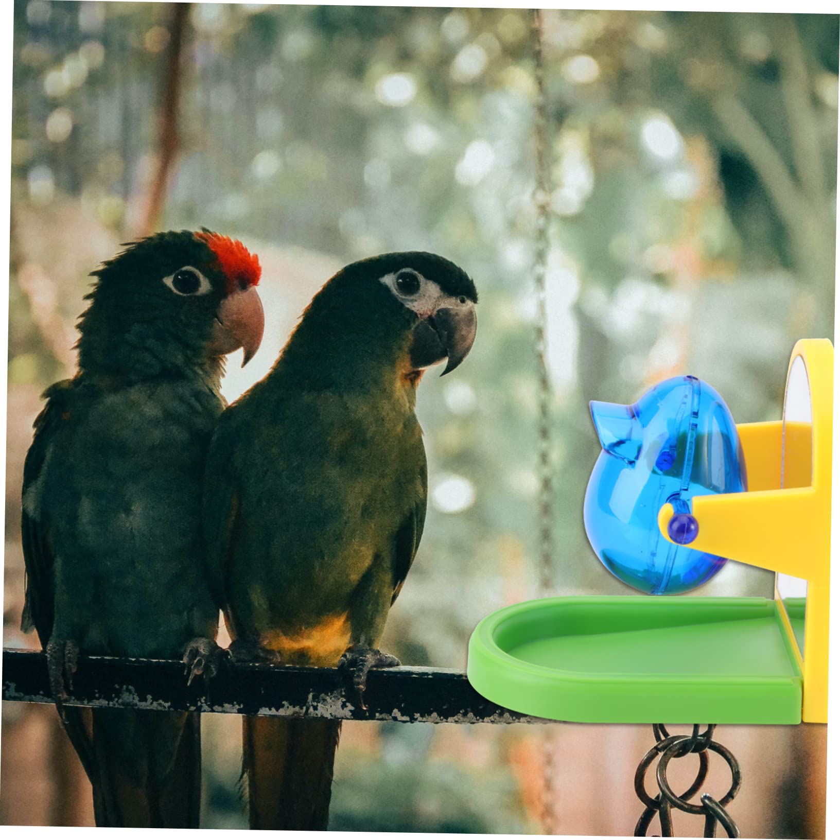Sosoport 3pezzi Giocattolo Per Uccelli Con Dispensa Di Cibo Divertente Giocattolo Per Pappagalli e Uccelli Esotici Stimolante Gioco Di Intelligenza e Sfida Alimentare Materiale Resistente e