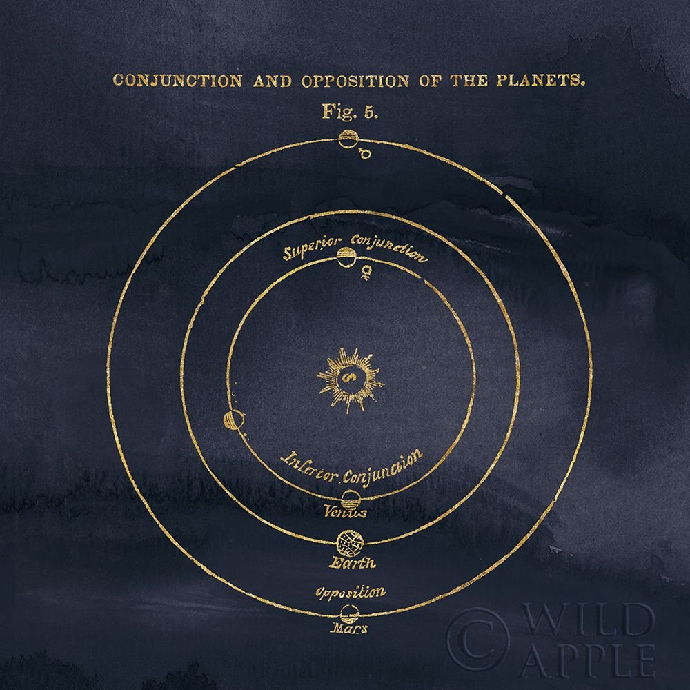 Geography Of The Heavens X Blue Gold Poster Print by Wild Apple Portfolio (24 x 24)