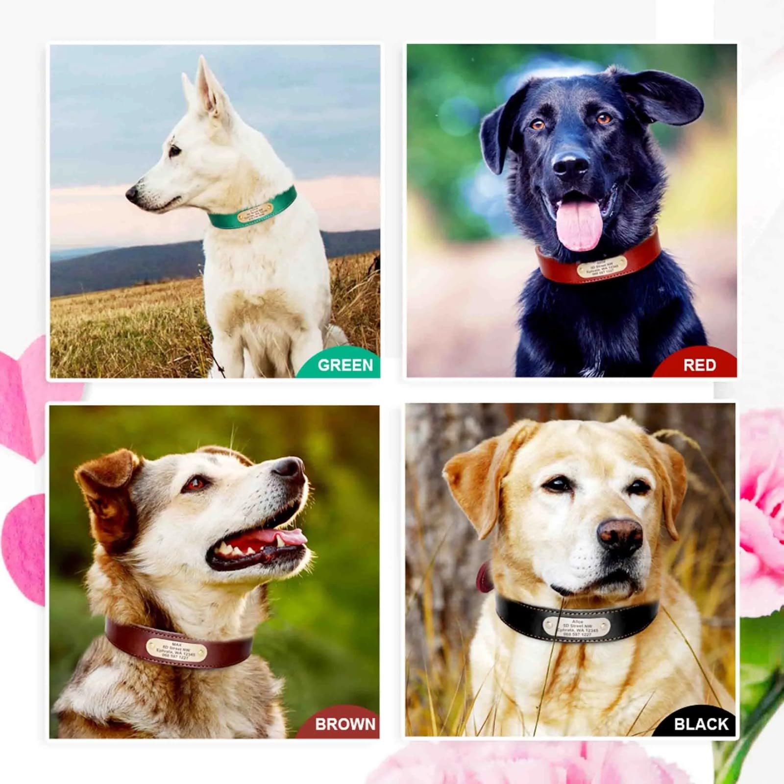 Personalisiert Mit ID -Namen Telefonnummer Tag -Namensschild Einstellbare PU Leder -Hundehalsband -Leine Set Für Bulldog Pitbull Shiba Inu Labrador,Rot,L