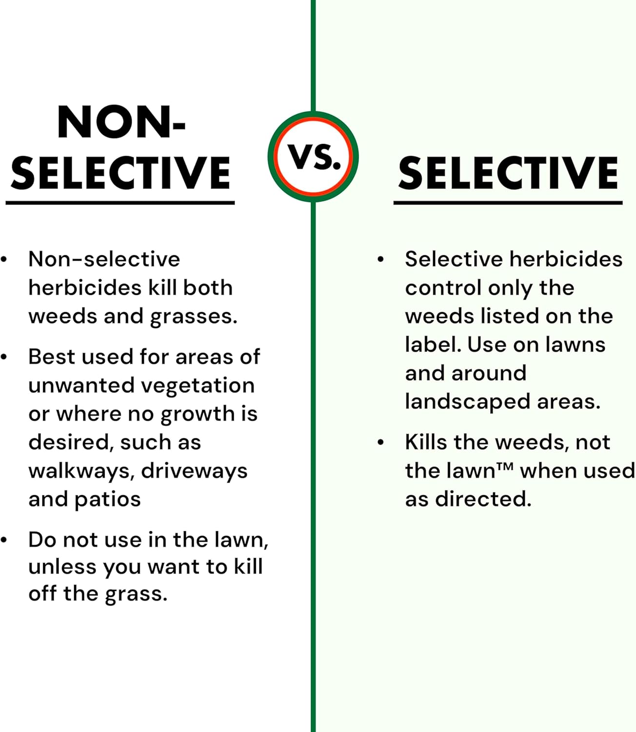 Different types of lawn grasses