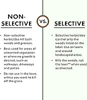 Vista 8 de Spectracide Weed Stop para césped + concentrado herbicida para digitaria, 32 oz, paquete de 6 unidades, transparente