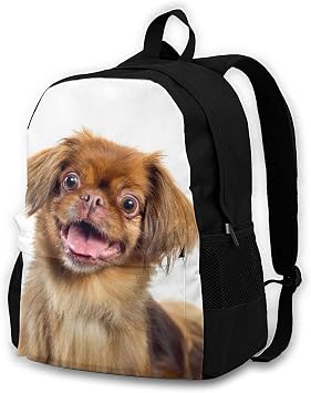 Pekinese Retrato aislado Animal Wildlife Mochilas para hombre y mujer,  mochilas escolares ligeras, bolsas de almacenamiento informales, Multicolor  : Ropa, Zapatos y Joyería - Amazon.com