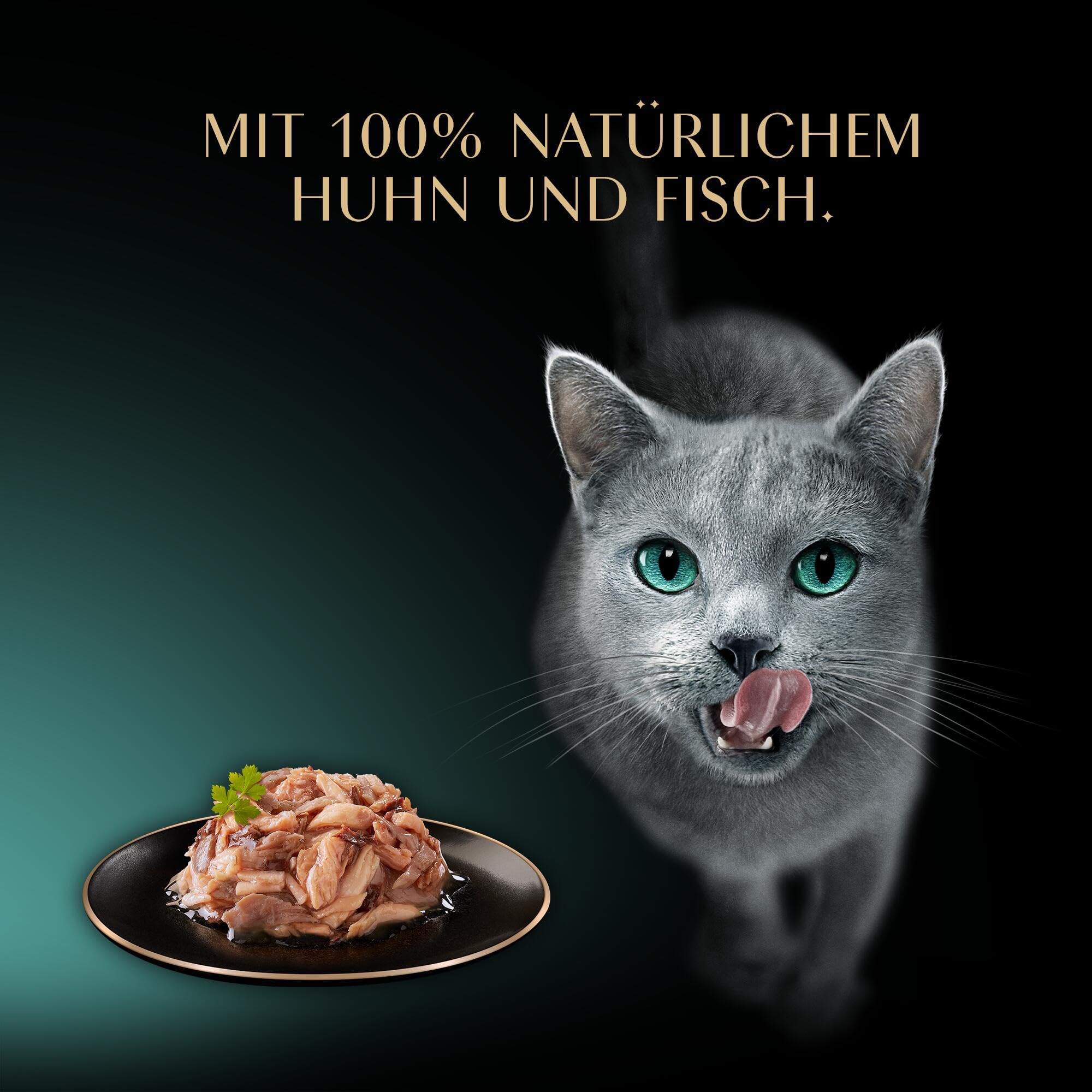 Sheba Filets Adult Katzenfutter in Sauce mit Huhn und Thunfisch, Weißfisch, Geflügel und Lachs 36 x 60 g Schale