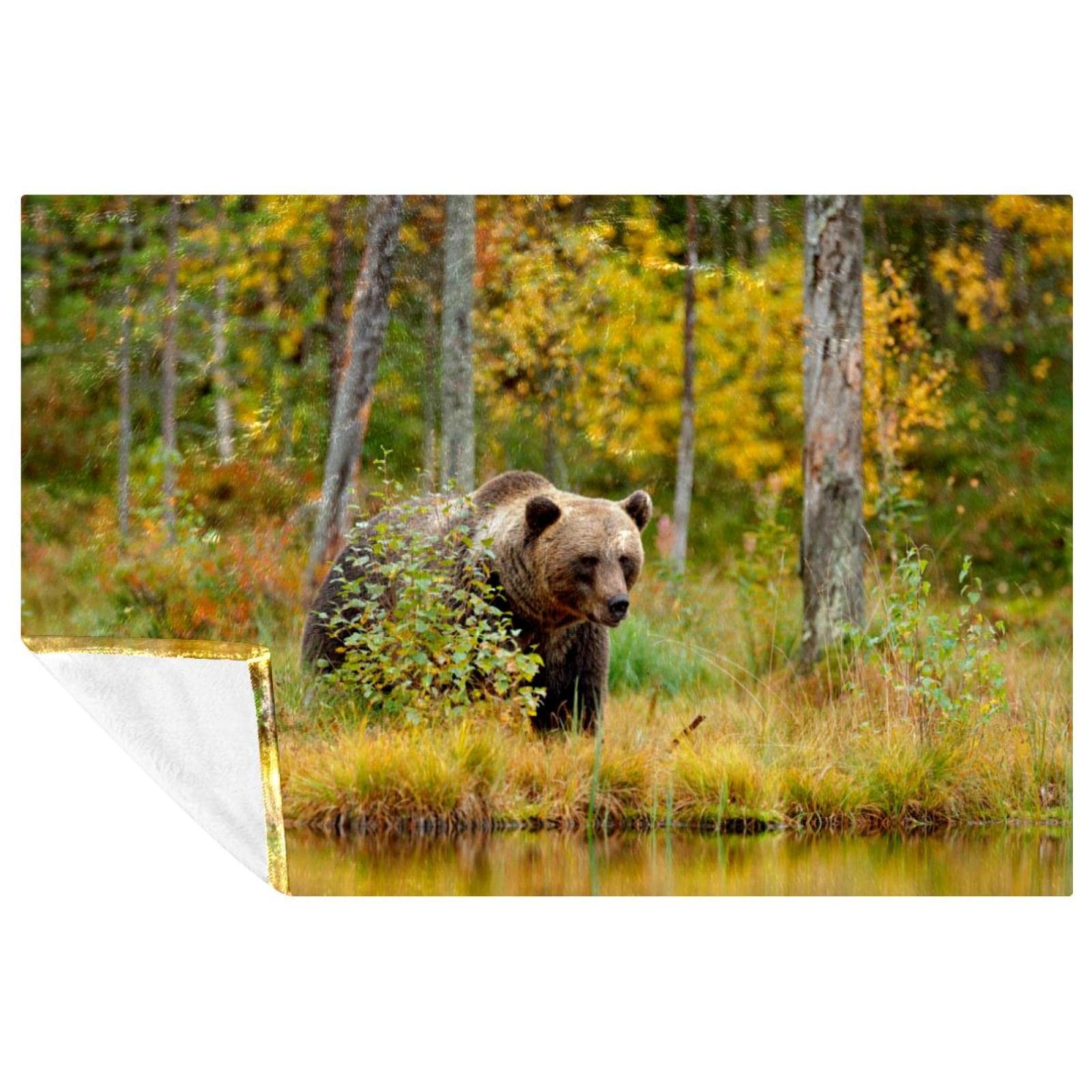 Plaid lit et canapé couverture chaude motif ours marron 150x100