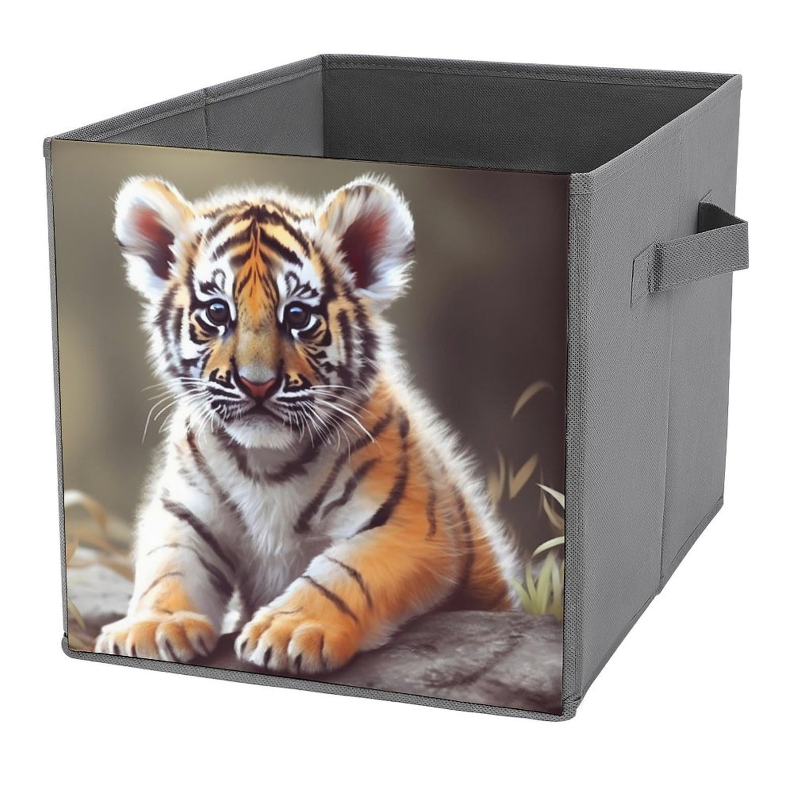 【BINBIN♡ 】 Amazon.com: ZXDSKGYN Foldable Storage Boxes Cute Tiger Large