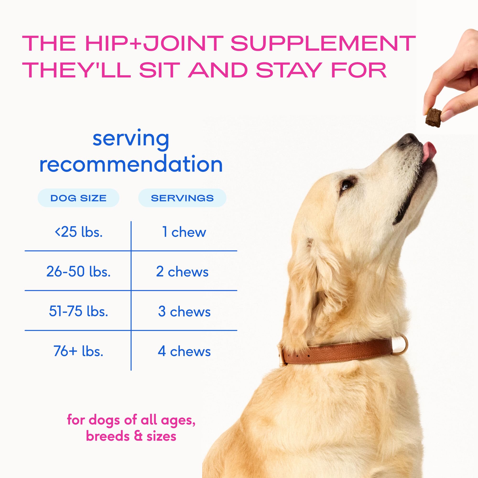 Native Pet Hip & Joint Supplement for Dogs - Advanced Dog Joint & Arthritis Supplement - Helps Maintain Healthy Cartilage, Joint Flexibility, Lubrication, & Function - with ESM & Collagen - 60 Chews - image 8