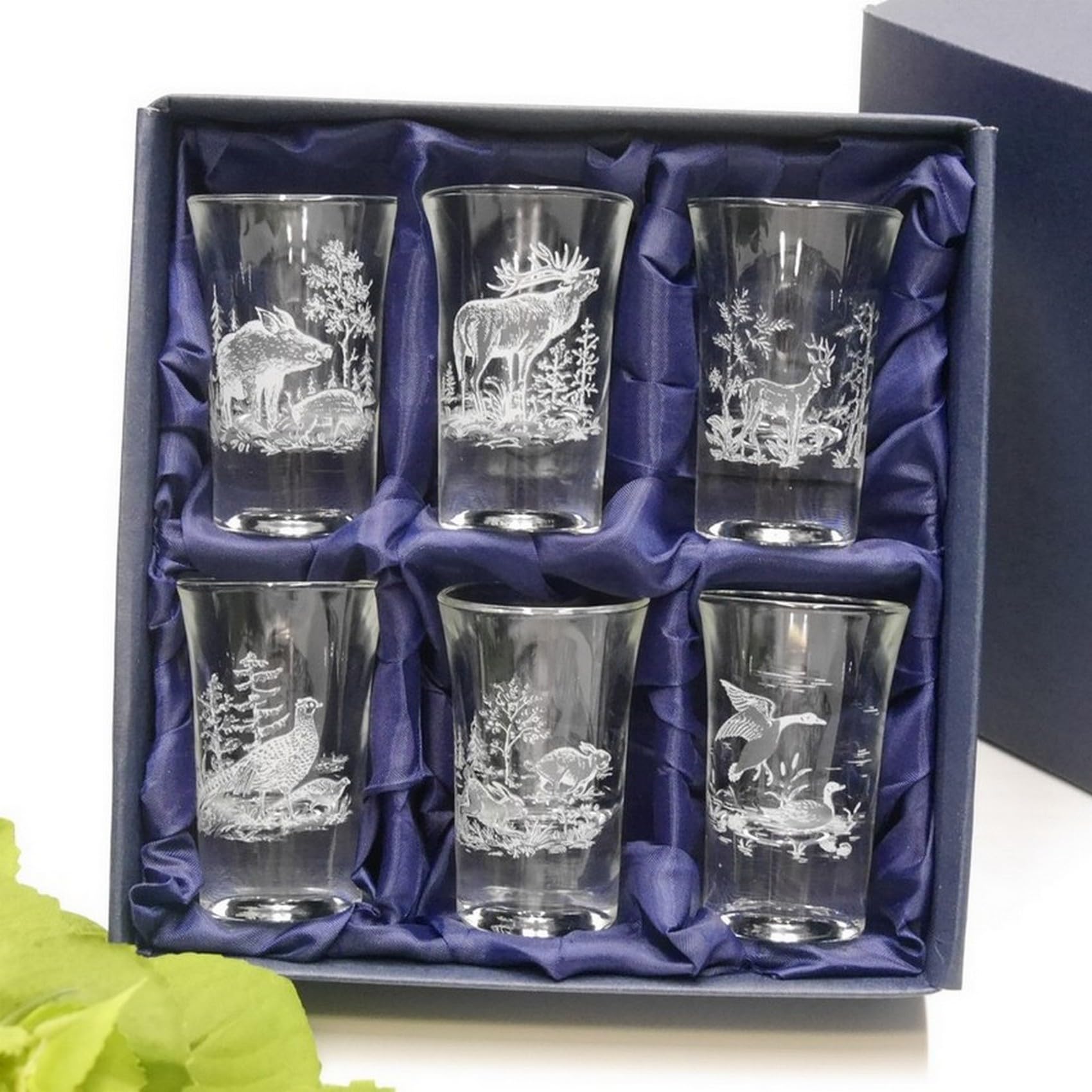 GTK - Geweihe & Trophäen KRUMHOLZ Lot de 6 verres à schnaps - haut - 2 cl dans une boîte cadeau