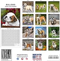 Vista 157 de Razas de Perros 2017