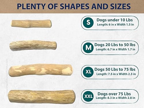 Miniatura 3 de Palito masticable de madera de café para perros, palo de madera de café para tus mascotas, no tóxico, seguro, juguete masticable para cachorros para