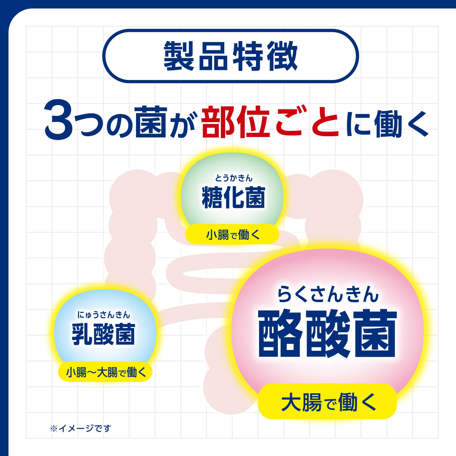 Amazon | 【Amazon.co.jp 限定】ビオスリーHi錠 570錠【指定医薬部外品