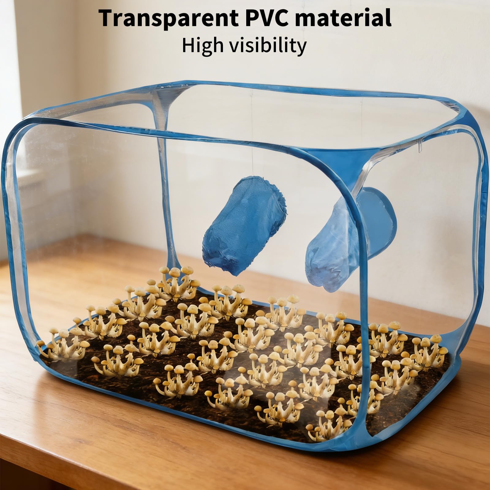 Grow Box,Pilz-Zuchtbox Mit Still Air Box,Tragbarer Und Klappbarer Grow-Zelt,Mushroom-Grow-Tent Für Pilzee Wie Enoki Pilze Heilpilze Pilze Im Allgemeinen,60x60x90 cm Blau