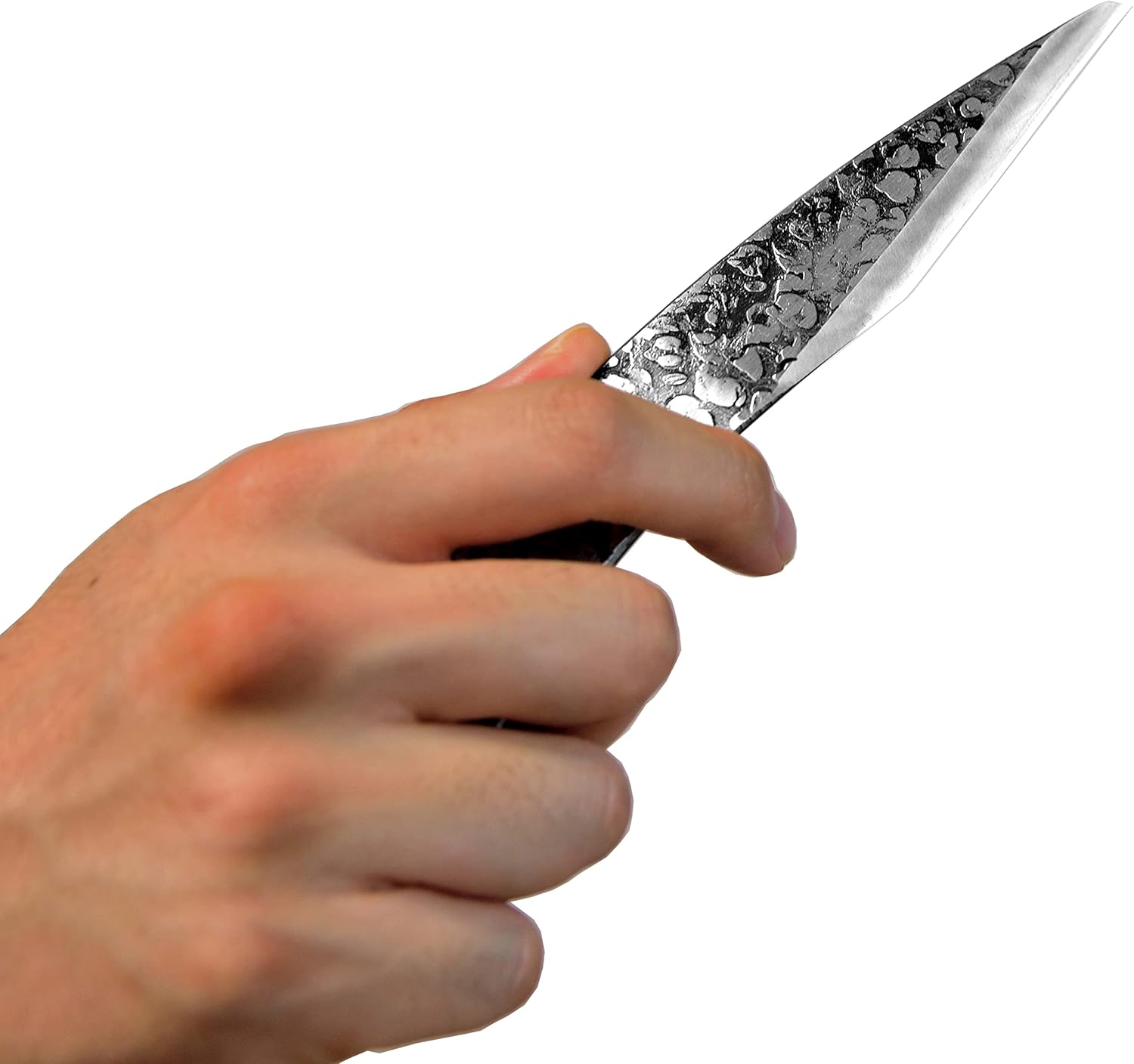 KAKURI Bonsai Grafting Knife 24mm, Razor Sharp Japanese Carbon Steel, Professional Grafting Tool for Garden Tree, Fruit Trees, Budding Plants, Single Bevel, Made in JAPAN