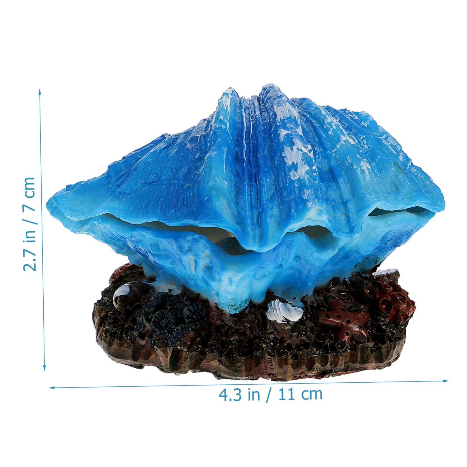 BESPORTBLE 5 Stück Aquarium Muschel Meerwassertank Dekoration Betta Aquarium Versteck Blasenherstellung Muschel Landschaftsbau Dekoration Dekoration