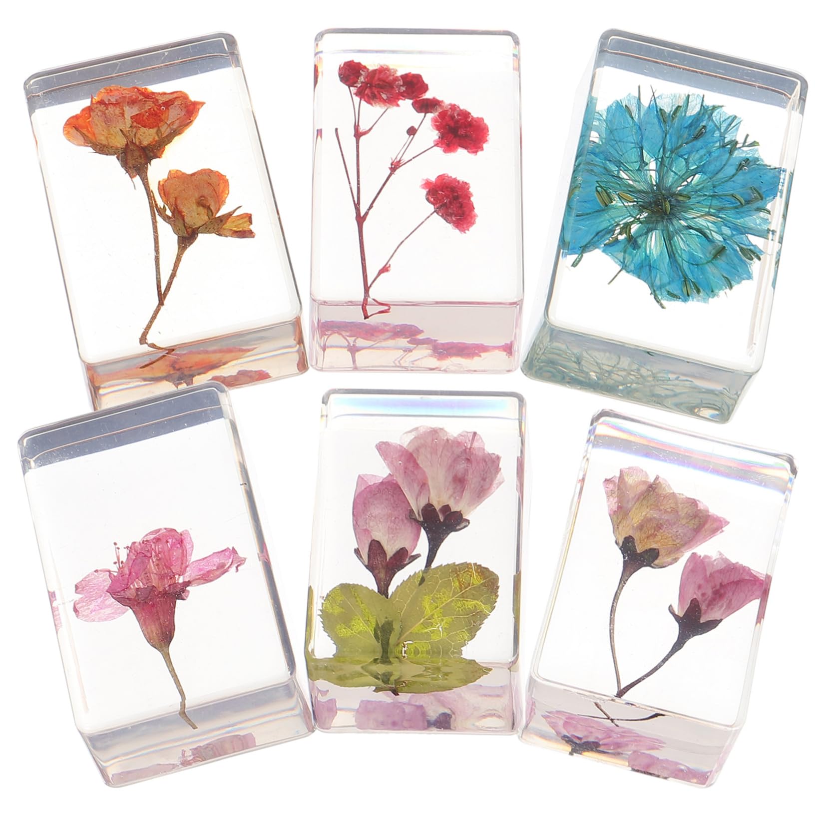 Lot De 6 Presse-papiers En Résine Pressée En Forme De Fleurs Séchées