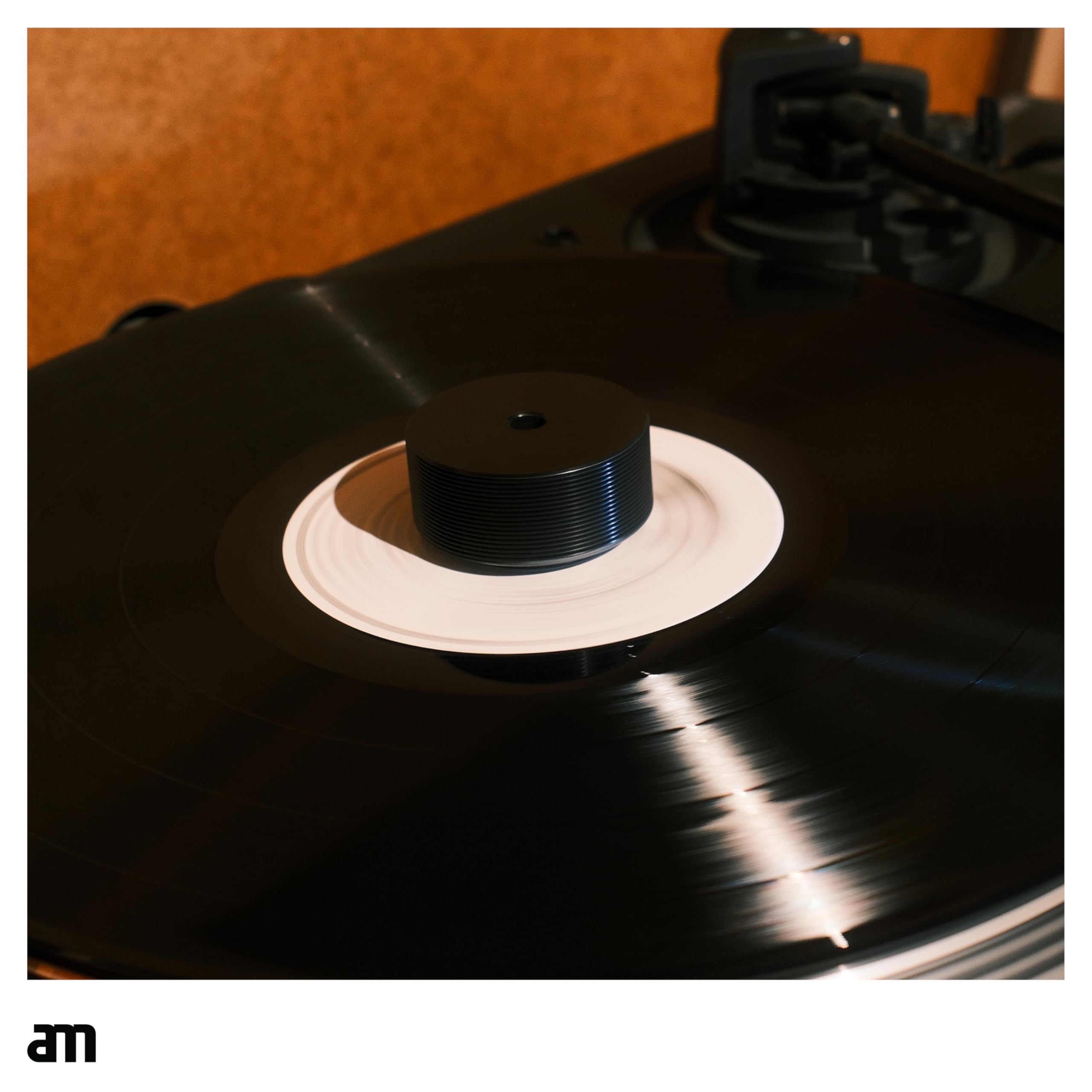 AM Clean Sound - Record Weight Palet Presseur