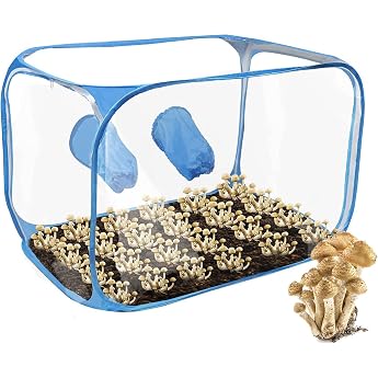 Mycology 90 x 60 x 60 cm Mushroom Grow Tent Foldable and Compact Still Air