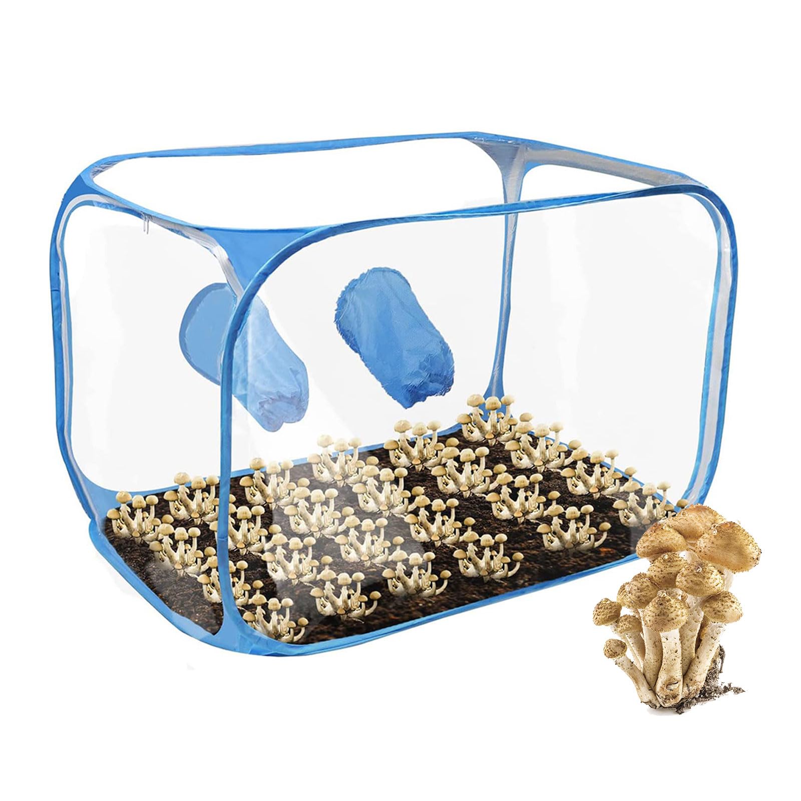 Tente de Culture de Champignons, Portable Pliable Still Air Box avec 2 Ports à Bras Kit de Culture de Champignons à la Maison, PVC Matériau Sac de Culture pour Amateurs de Champignon (Bleu)