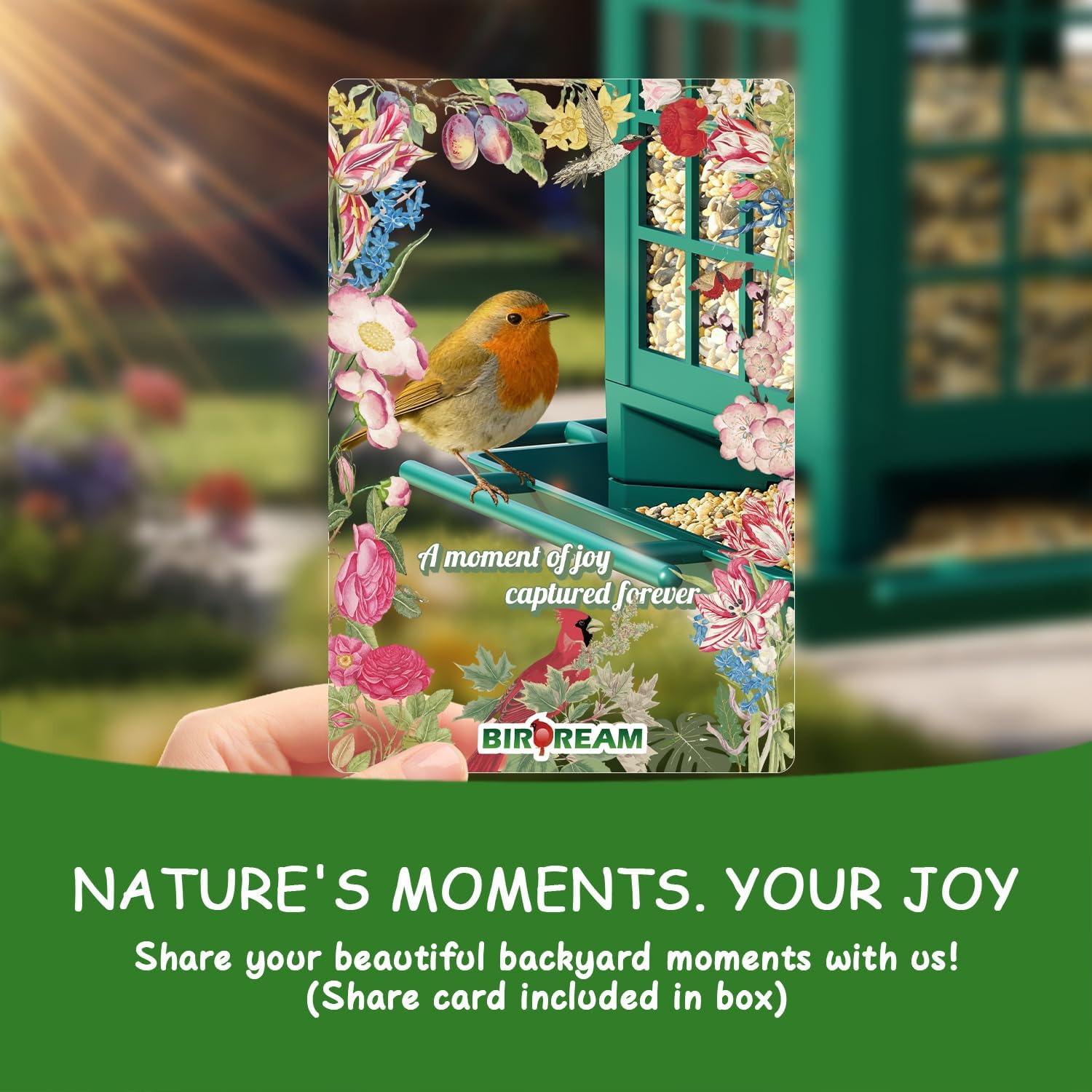 Birdream 2 Pack Bird Feeders for Outdoor Hanging, Assembly Required, 1-Min Easy Setup, Classic Courtyard Design, Attracting Cardinals Chickadees Goldfinches & Sparrows - Green