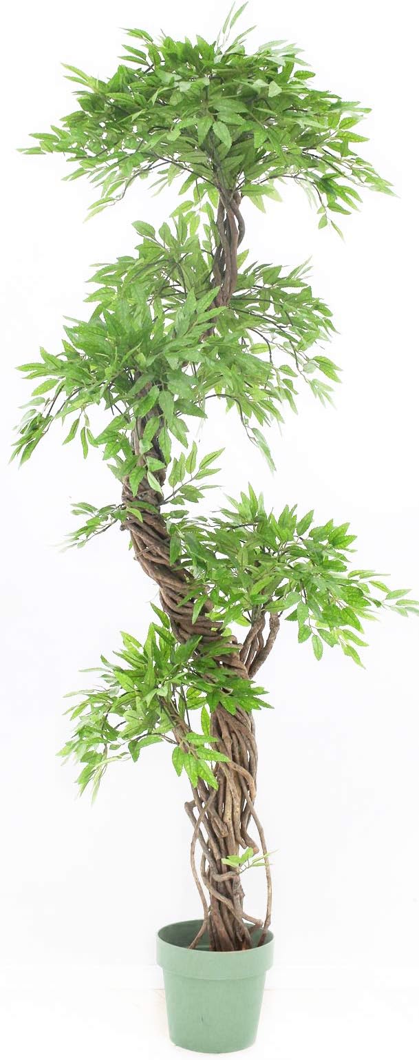 Eastern Style Topiary Tree, Lifelike Artificial Leaves with Real Bark Approx 6 feet Tall