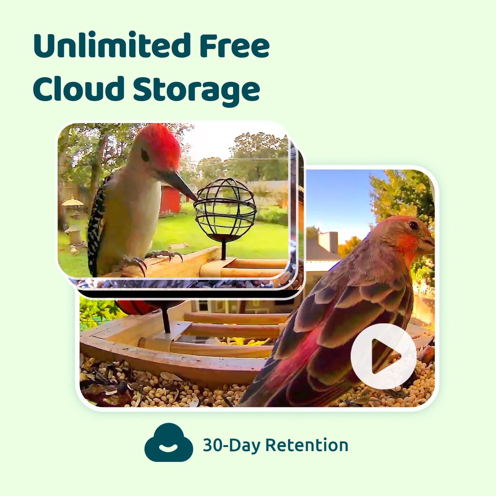 NETVUE by Birdfy Vogelfutterhaus mit Kamera, Solarbetrieb Bambus WLAN Vogelfutterstation, KI-Vogelidentifikation, Automatische Videoaufnahme, Vogelbenachrichtigung, Vogelhaus mit Kamera