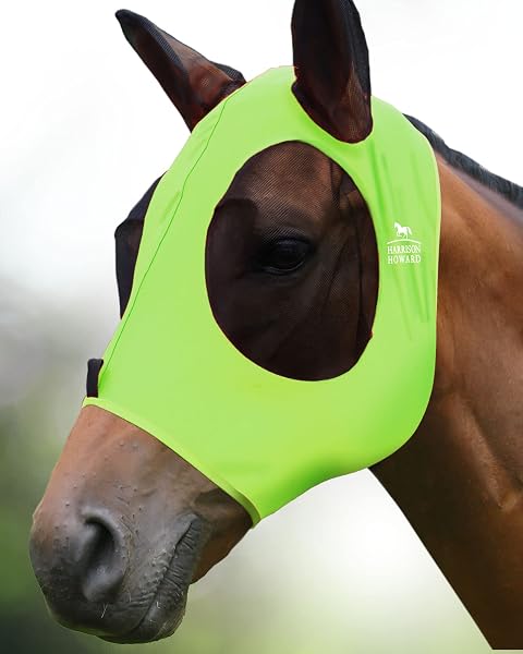 Maschera di Harrison Howard Horsefly-Fluro-Limonka (M; Cob) - 1