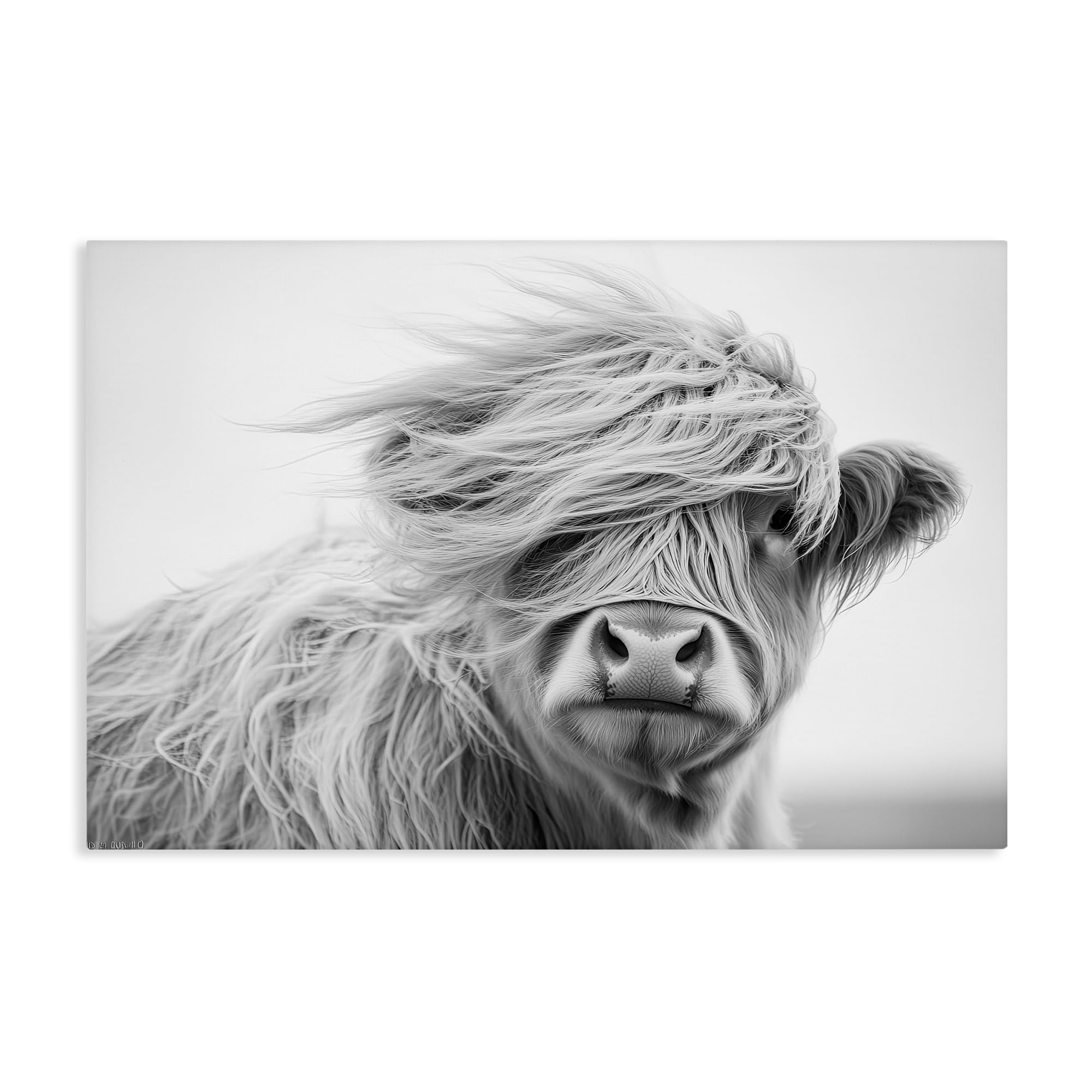 Stupell Industries 'Easy Breezy Highland', Canvas Art, 36 x 24 Inches, Easy to Hang and Sturdy, Made in USA, by Tina LeCour