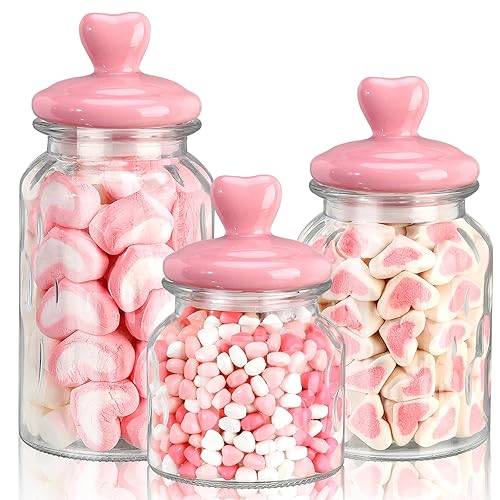 Vesici 3 Pcs Valentine's Day Glass Cookie Jars Candy Jars with Heart Lids 22 32 45 oz Clear Glass Canisters with Airtight Ceramic Lids for Food Storage (Pink) - Pink