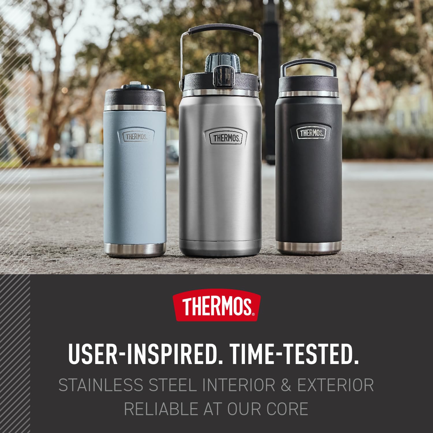 Amazon.com: THERMOS ICON SERIES, Stainless Steel Water Bottle with