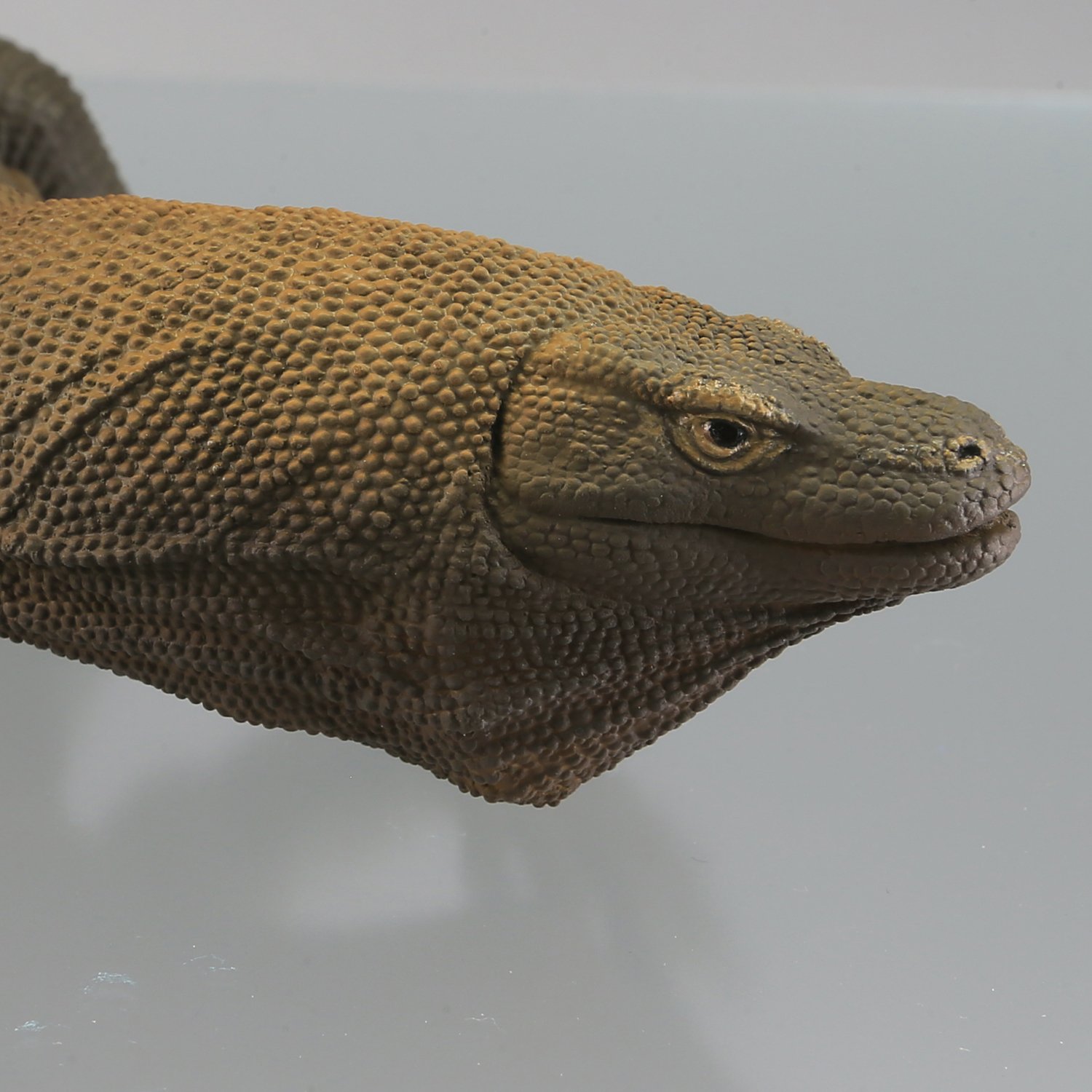 コモドオオトカゲ様 コモドドラゴン⁉️の財布 | TS-HORIUCHI