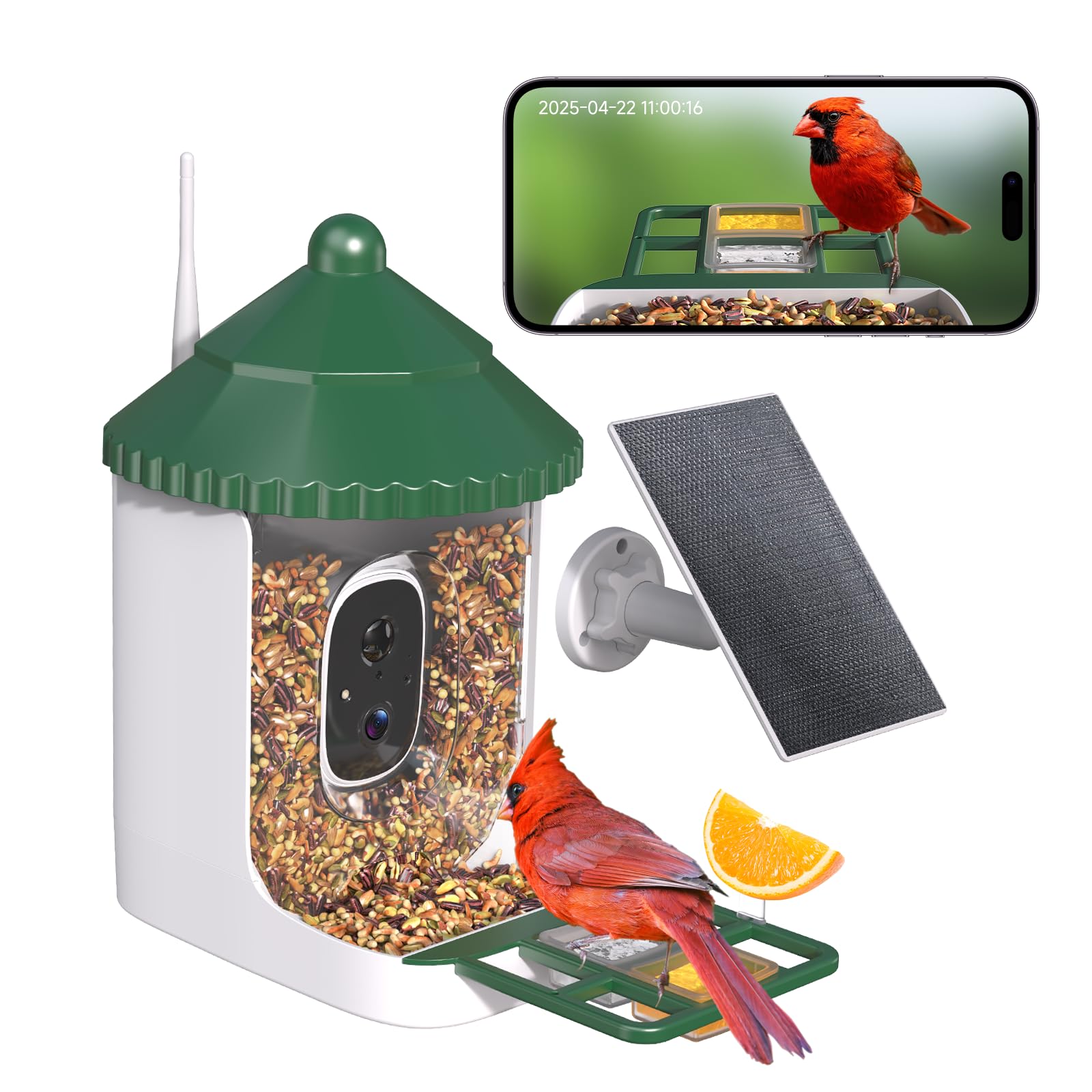 Loatos B0 Bird Feeder with Camera