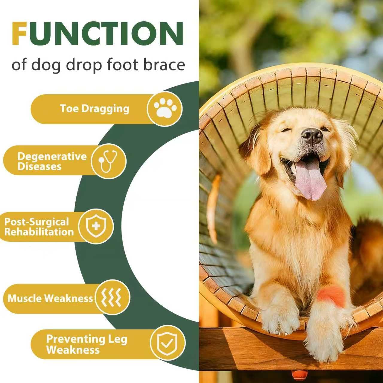 Dog Front Leg Support Brace for Foot Drop, Canine Knuckling Prevention, Toe Dragging Assistance
