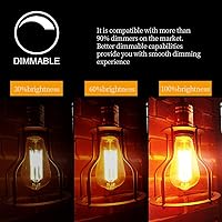 Vista 2 de LUXON Edison Bombillas incandescentes de estilo vintage antiguo, regulables ámbar cálido, base E26 de 60 W para aplique de pared, paquete de 2
