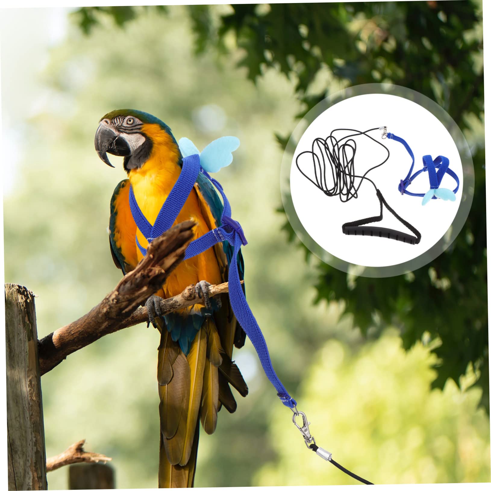 DOITOOL Juego De 5 Piezas Cuerda Voladora De Loro Arnés De Cuerda De Tracción Juguete De Conejo Correa De Conejillo De Indias Arnés De Adiestramiento De Pájaros Xuan Feng Mascota Paño