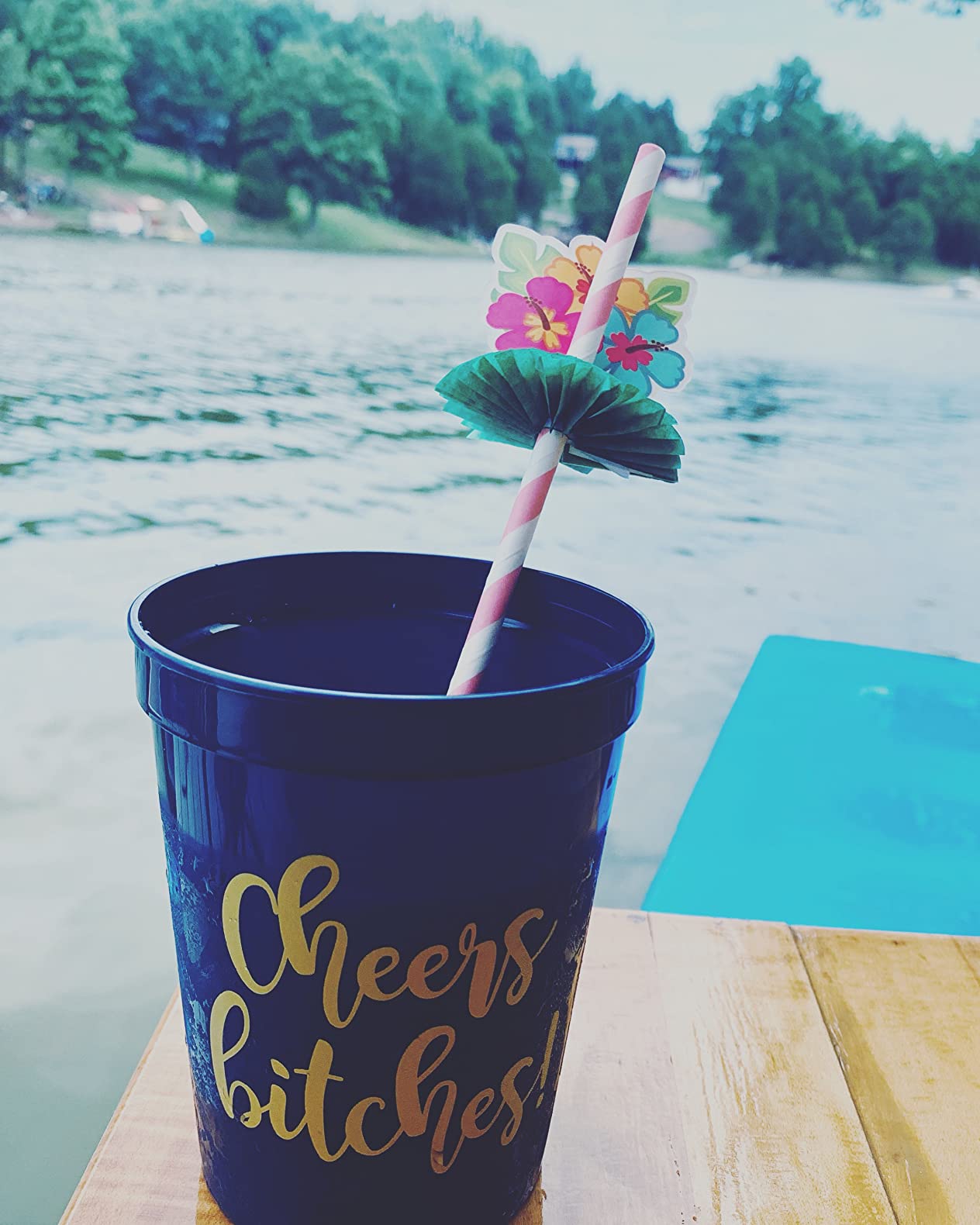 Cheers Bitches! Bachelorette Cups Set of 12 Girls Night