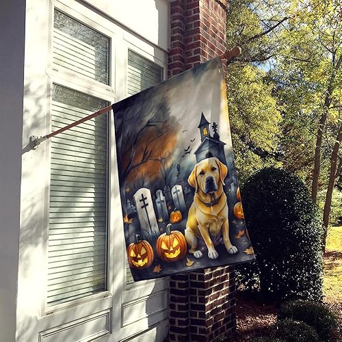 Miniatura 183 de Caroline's Treasures DAC2011GF - Bandera decorativa para jardín de Halloween con diseño de beagle para jardín, jardín, jardín, jardín, multicolor