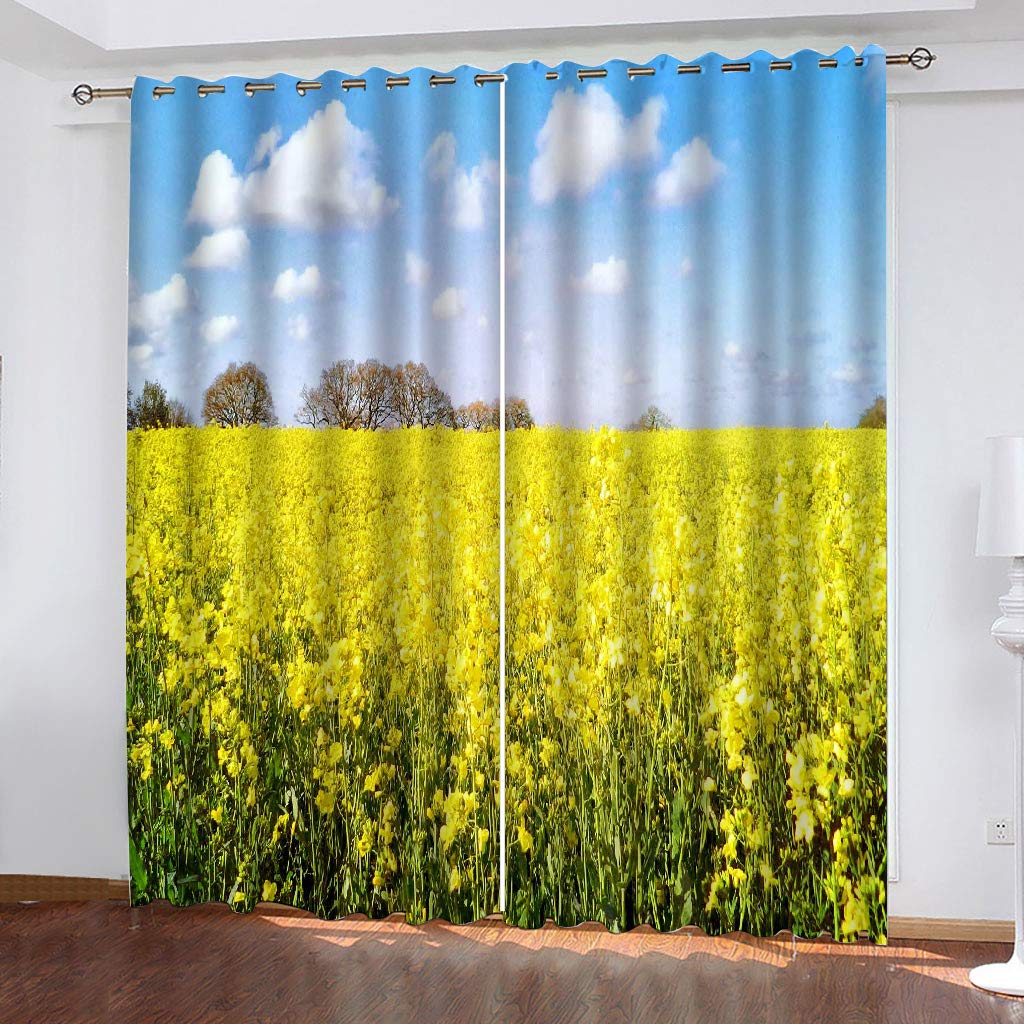 Morbuy Gardinen Blickdicht Vorhänge 2er Set mit Ösen und Raffhalter, 3D Drucken Modern Verdunkelungs Thermo Vorhänge-Set für Wohnzimmer Schlafzimmer Kinderzimmer (168x183cm *2,Gelber Blumenkohl)