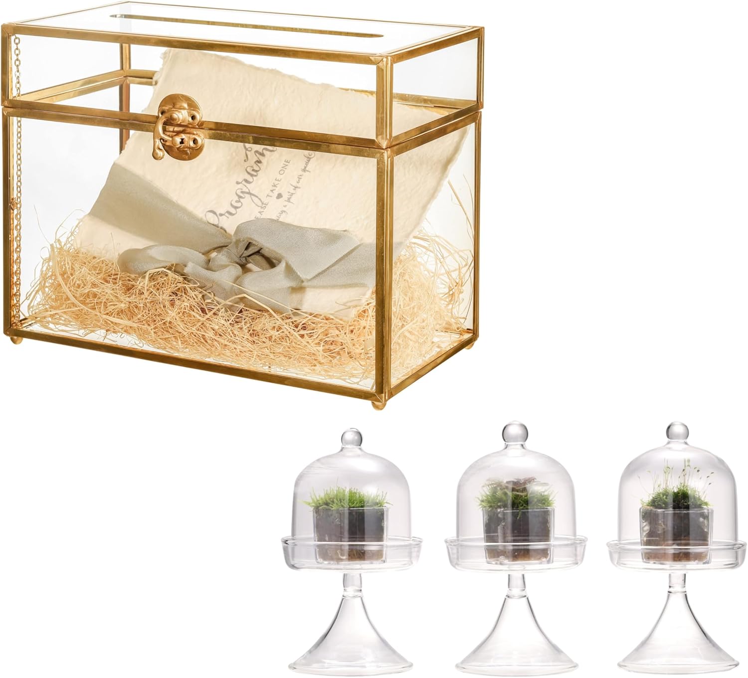 NCYP Glass Card Box and Glass Dome Bundle - 9.8 x 5.6 x 7.7 Inch Wedding Cards Box with Slot and Latch, and 3-Pack 2.7" x 2.7" x 5" Little Cloche Set, Indoor Decor for Plants (Plants Not Included)