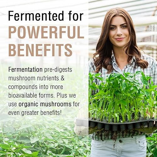 Miniatura 48 de SOLARAY Completo de hongos fermentados – Cápsulas de suplemento de chaga orgánico, reishi, shiitake, cordyceps, hongo cola de pavo y melena de león