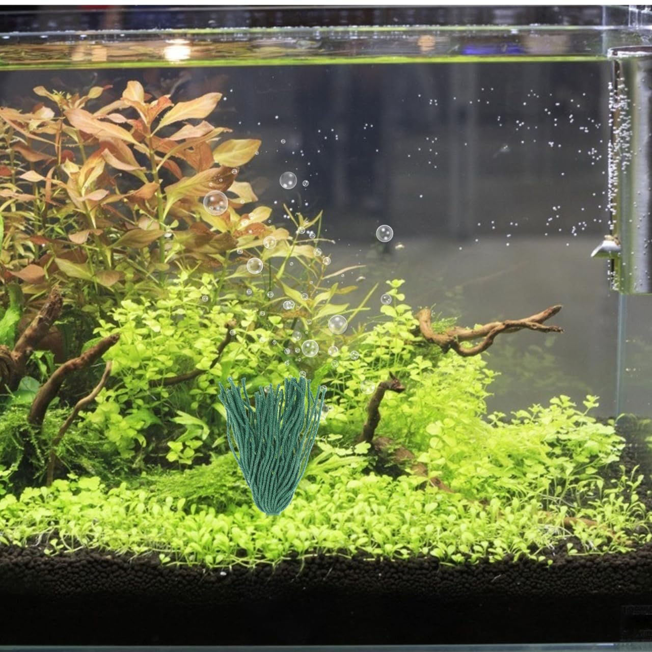 View 7